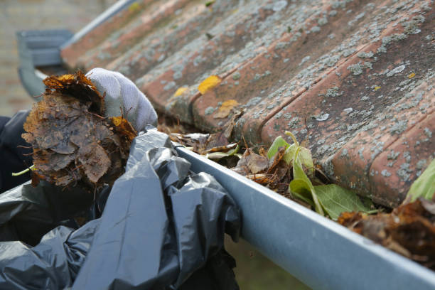 istock Cleaning the gutter from autumn leaves before winter season. Roof gutter cleaning process. 1356621910