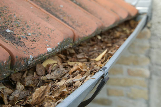 Gutter full of old autumn leaves and dirt. Gutter full of old autumn leaves and dirt. downspout stock pictures, royalty-free photos & images