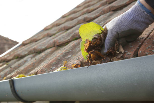 istock Cleaning the gutter from autumn leaves before winter season. Roof gutter cleaning process. 1356621962