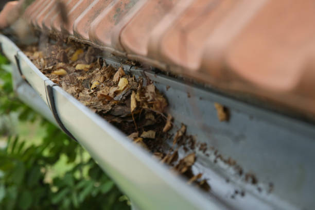 istock Gutter full of old autumn leaves and dirt. 1356623243