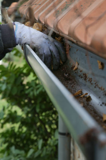 cleaning the gutter from autumn leaves before winter season. roof gutter cleaning process. - eavestrough imagens e fotografias de stock