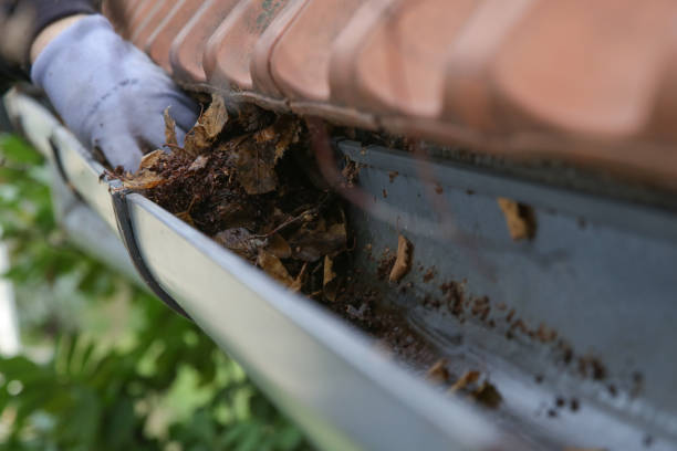 istock Cleaning the gutter from autumn leaves before winter season. Roof gutter cleaning process. 1356623698
