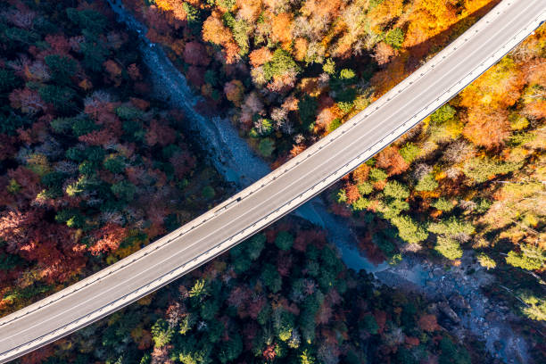 istock Aerial view of a bridge 1356623951