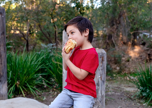 Boy eating bread