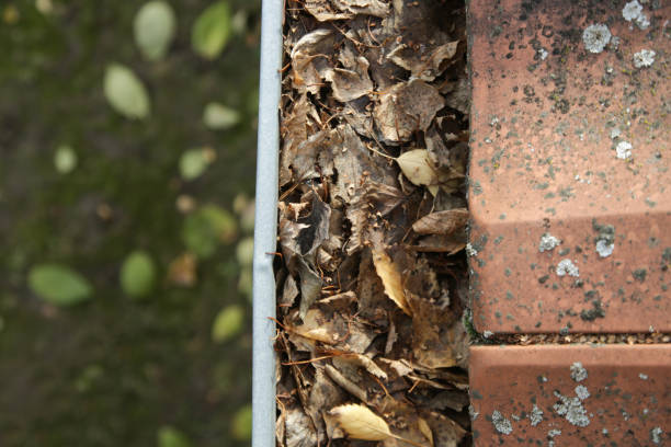 istock Gutter full of old autumn leaves and dirt. 1356624049