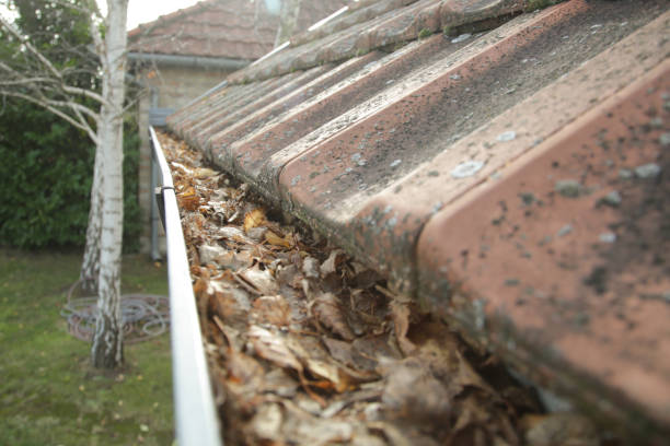 istock Gutter full of old autumn leaves and dirt. 1356624053