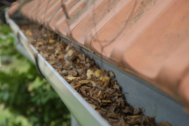 istock Gutter full of old autumn leaves and dirt. 1356624057