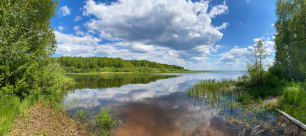 istock panorama with a summer landscape on the shore 1356626298