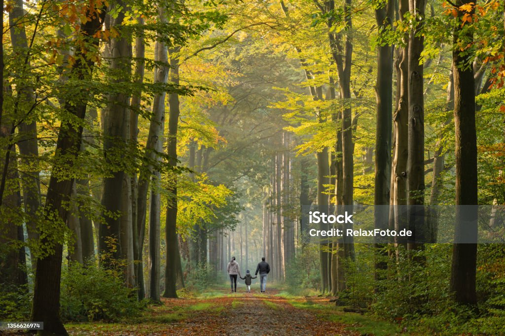 Rear view on Young family walking on avenue in autumn colors Forest Stock Photo