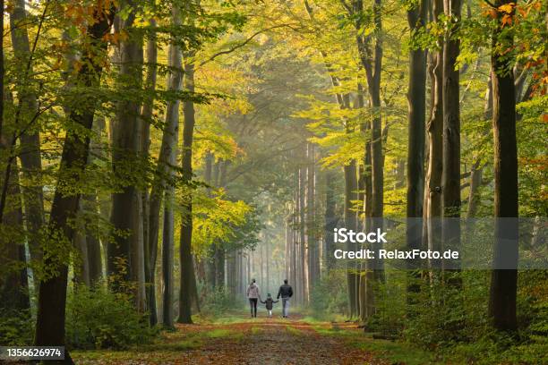 Rear View On Young Family Walking On Avenue In Autumn Colors Stock Photo - Download Image Now
