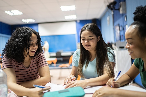 Colleagues studying together in the classroom