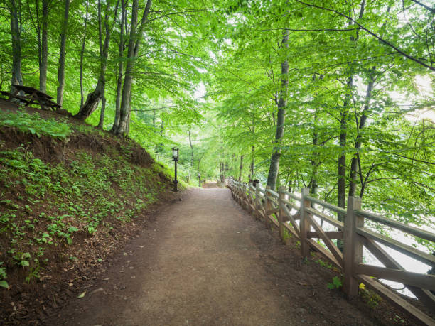 istock nature park road 1356634171