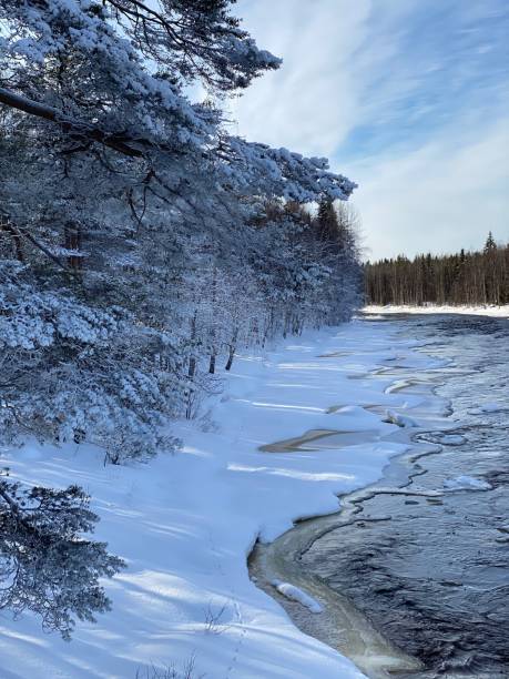 istock Finland-Nature 1356634248