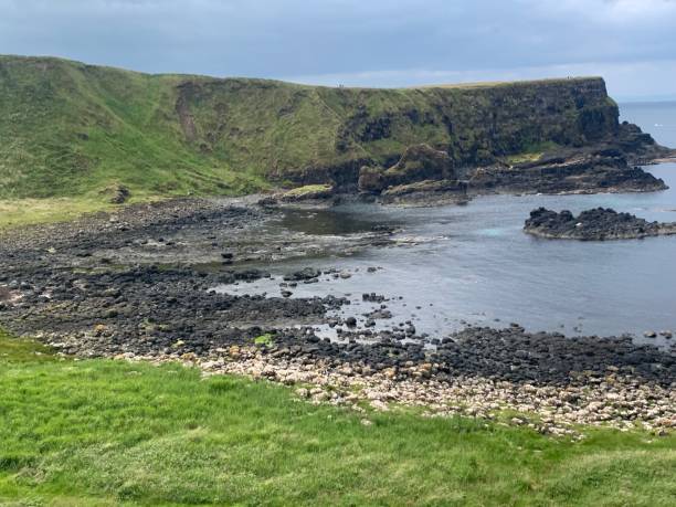 istock Seashore of the Giant Causeway 1356634427