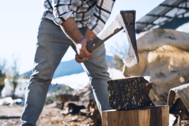 istock Lumberjack Chopping Wood 1356635653