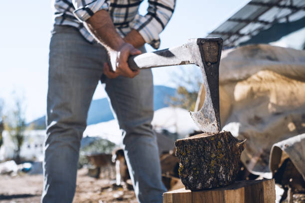 istock Lumberjack Chopping Wood 1356635659
