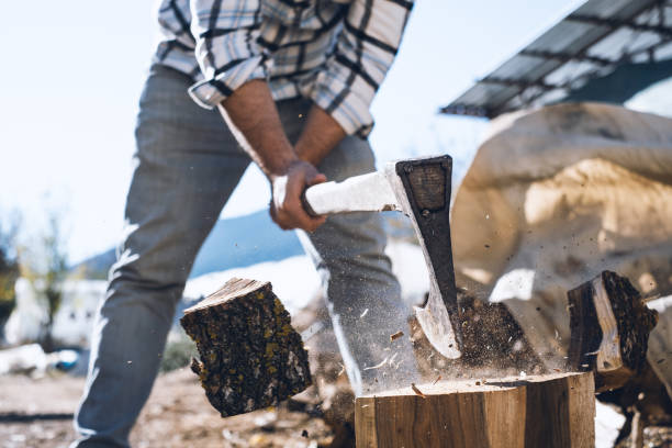 istock Lumberjack Chopping Wood 1356635673