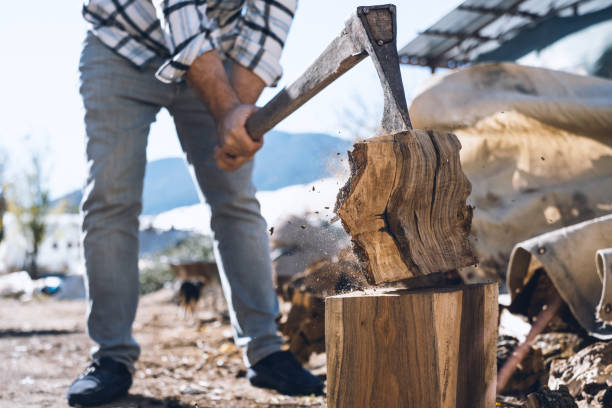 istock Lumberjack Chopping Wood 1356635678