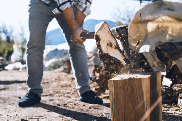 istock Lumberjack Chopping Wood 1356635681