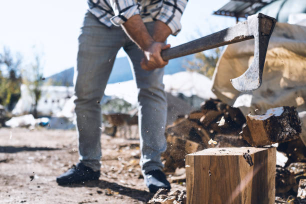 istock Lumberjack Chopping Wood 1356635682
