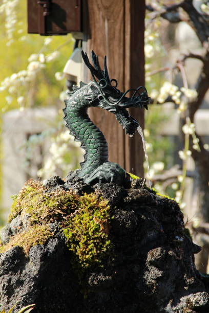 dragon head fountain
