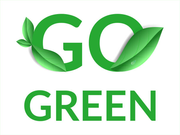 istock Environmental Concept. Logo go green. Lettering with green leaves. Realistic vector illustration. World Environment Day. 1356639611