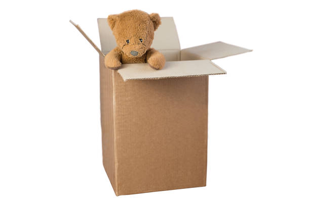 istock A teddy bear peeks out of a cardboard box. 1356643078