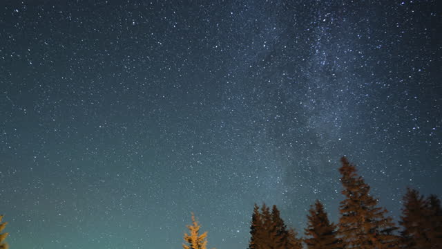 Timelapse of hikers resting besides bright bonfire near illuminated tourist tents on camping site in mountain woods under night sky with sparkling stars. Active lifestyle and outdoor living concept