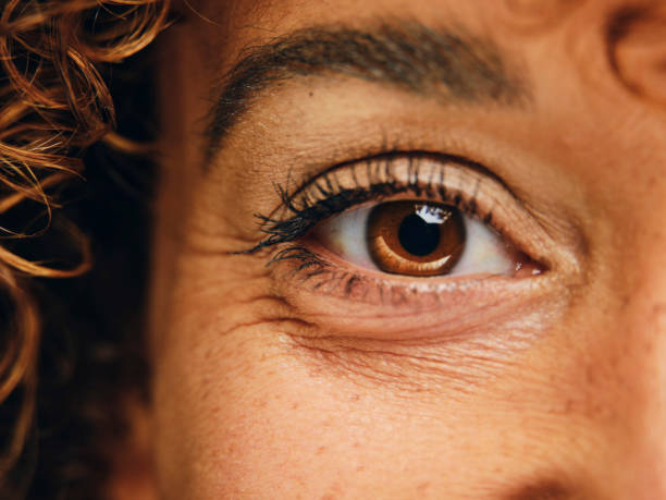 macro primo piano dell'occhio di una donna - brown eyes foto e immagini stock
