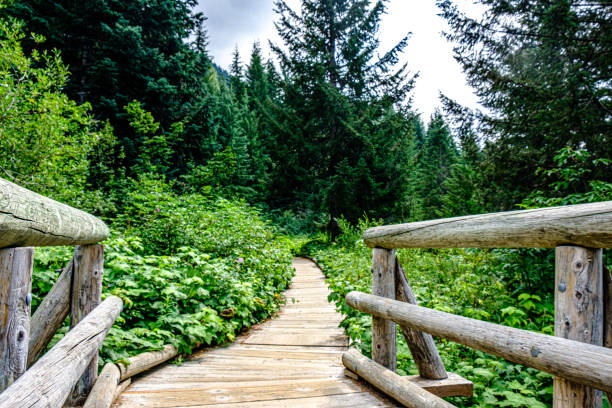 istock Gold Creek Pond 1356663299