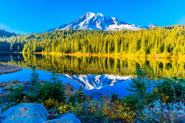 Reflection Lake Mirrors Mount Rainier Reflection Lake at Sunset Time. No waves on the lake. Crisp mirror view of Mount Rainier reflection. Mount Rainier National Park, Washington. mt rainier national park stock pictures, royalty-free photos & images