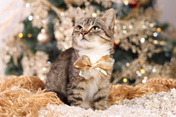 istock Christmas card. New Year. 1356672636