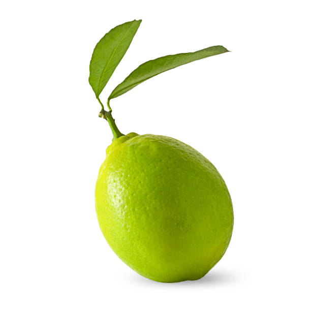 istock Fresh green lemon or lime with leaves, isolated on white background. 1356674661