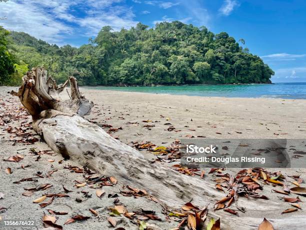 Lagoon Manuel Antonio National Park Costa Rica Stock Photo - Download Image Now - Bay of Water, Beach, Beach Holiday