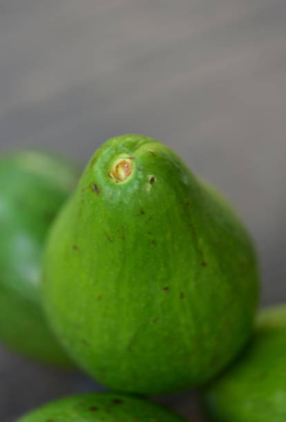 istock Avocado, Persea americana 1356685240