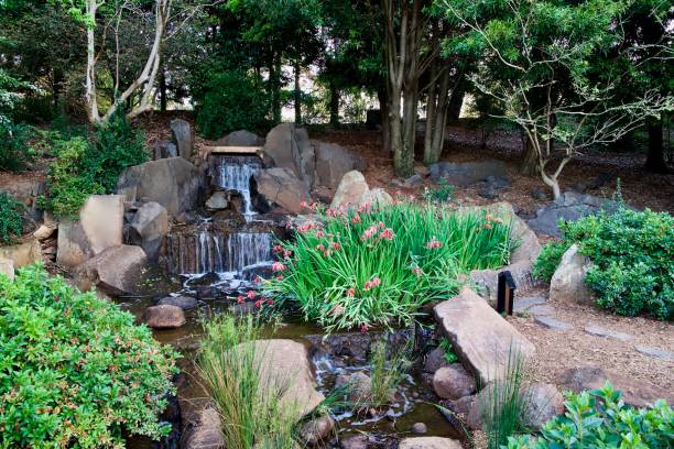 istock Tiny torrent, Dragon Waterfall, Ju Raku En, Queensland 1356690688