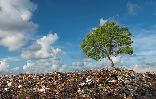 Tree grows between Mountains of Trash. In unreal surreal environment garbage nature pollution ecology.