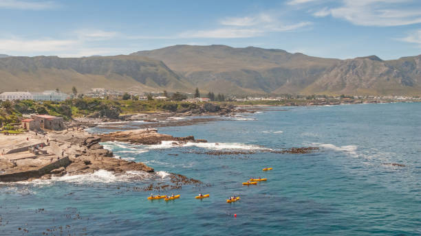 Kayakers at Hermanus in South Africa Kayakers paddling out of the old fishing harbour at Hermanus, Western Cape, Soth Africa. hermanus stock pictures, royalty-free photos & images