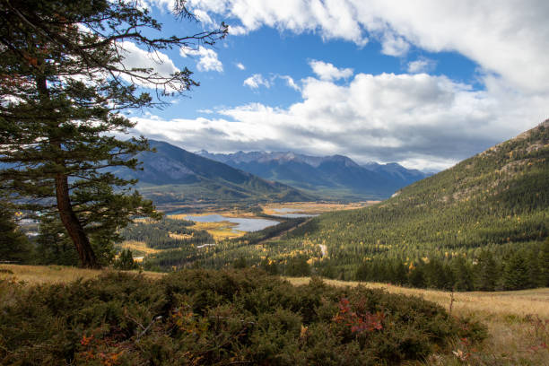 istock View of Vermillion Lakes from Mount Norquay 1356701551