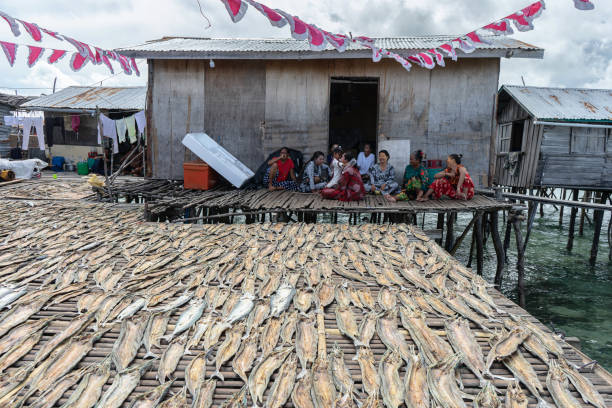 The salted fish that will be traded is being dried under the heat of the sun on a platform in front of the water village house inhabited by the Sea Bajau. stock photo