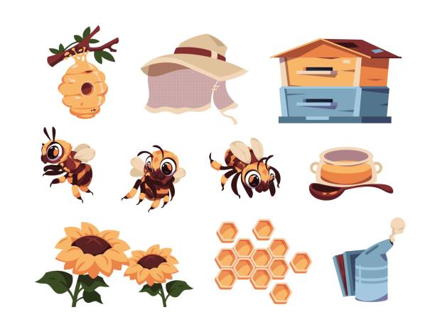 ilustraciones, imágenes clip art, dibujos animados e iconos de stock de abeja. mascota de insecto lindo de dibujos animados con colmena. elementos de apiario. frasco de olla y cuchara. girasoles en flor. herramientas de panal y apicultores. vector volador niños honeybee personajes conjunto - spoon honey cute jar