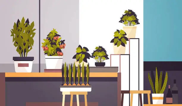 Vector illustration of greenhouse potted plants on shelf home gardening concept living room interior horizontal