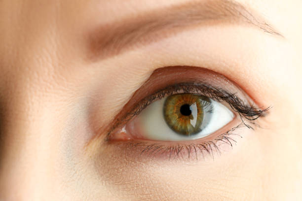 istock Close up view woman, correction eyebrow tattoo 1356711147