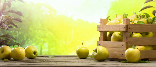 istock Golden delicious apples in the crate 1356716647