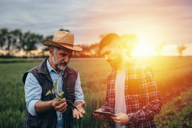 istock farmers on field 1356717506