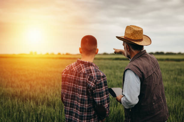 istock farmers on field 1356717508