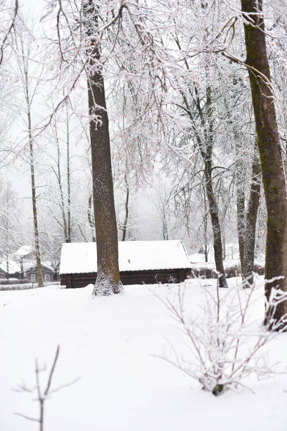 istock Winter landscape. Snow covered trees  and a road in the park 1356719081
