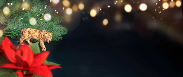 открытка на рождественскую и новогоднюю елку, снежинки, на синем фоне, символ тигра китайский зодиакальный календарь - poinsettia christmas candle table стоковые фото и изображения