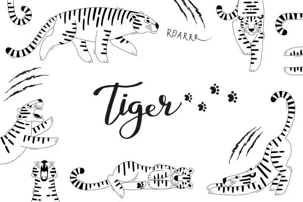 Vector illustration of Card with cute tigers, paw prints and scratches. Tiger is the Zodiac Symbol of the 2022 New Year