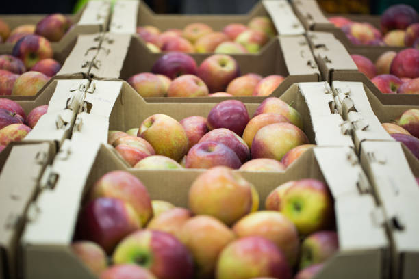 istock apples in crates on supermarket 1356725486
